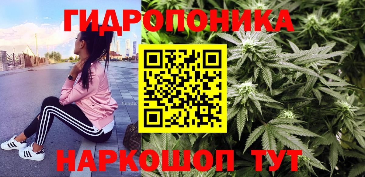 Кингисепп  Конопля VHQ  Вход с VPN  Конопля MAZAR  Бошки марихуана MAZAR 